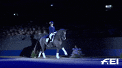 charlotte dujardin horse GIF by FEI Global