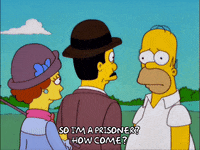 homer simpson episode 6 GIF