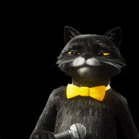 Cat Wow GIF by Studio Moderna ltd