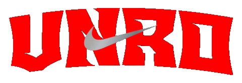 Nike Peru Sticker by VNRO