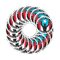 Btt Puerto Rico Sticker by Brazilian Top Team