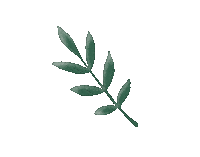 Maximeee nature green drawing tree Sticker
