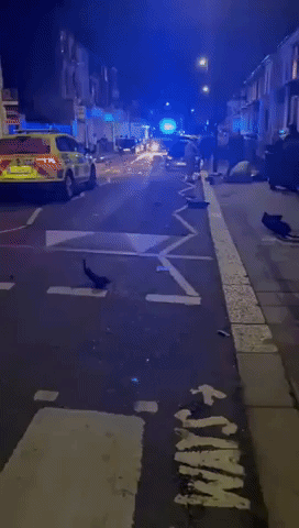 Two Dead as Police Respond to Reports of Gunshots in South London
