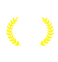 School Anglo Sticker by Colégio Suller Garcia
