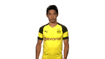 swiping borussia dortmund Sticker by Bundesliga