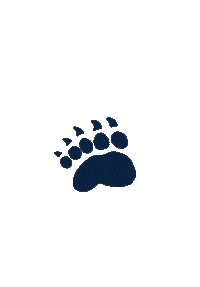 universityofmaine maine umaine blackbears universityofmaine Sticker