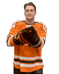 Ice Vols Sticker by Tennessee Hockey