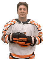 Ice Vols Sticker by Tennessee Hockey