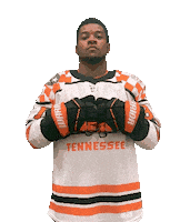 Ice Vols Sticker by Tennessee Hockey