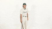 Huntington University Baseball GIF by FDN Sports