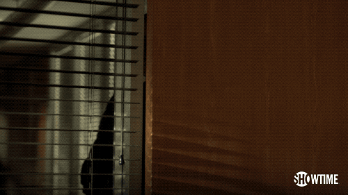 liev schreiber showtime GIF by Ray Donovan
