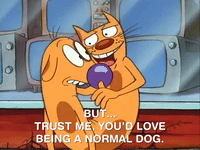 nicksplat GIF