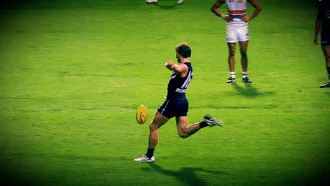 freodockers giphyupload fremantle dockers freo GIF