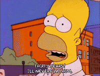 Season 2 GIF by The Simpsons