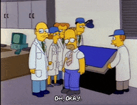Season 2 GIF by The Simpsons
