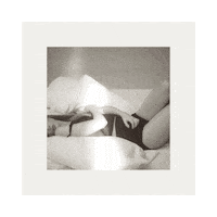 Art Album Sticker by Taylor Swift