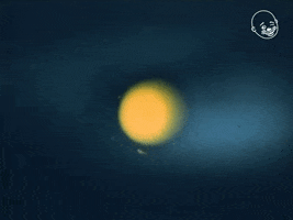 The Secret Life Of Plants GIF by Eternal Family