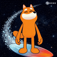 Surfboard Soaring GIF by BONK