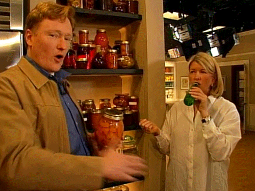 martha stewart conan obrien GIF by Team Coco