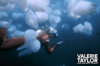 Valerie Taylor Swimming GIF by Madman Films