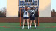 vwu_marlins marlins vwu wethebeach virginiawesleyan GIF