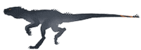 Raptor Sticker