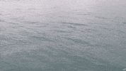 Water Wave GIF