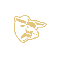 Fantasy Bull Sticker by Rank Ride