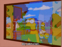 homer simpson episode 10 GIF