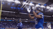 Detroit Lions Applause GIF by NFL