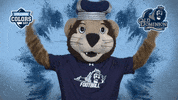 Excited Stand Up GIF by College Colors Day