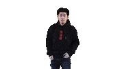 Hanwe k-pop youtuber asian likes Sticker