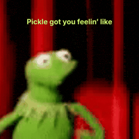Kermit The Frog Omg GIF by omhucph