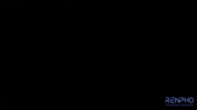 Fitness Health GIF by RENPHO