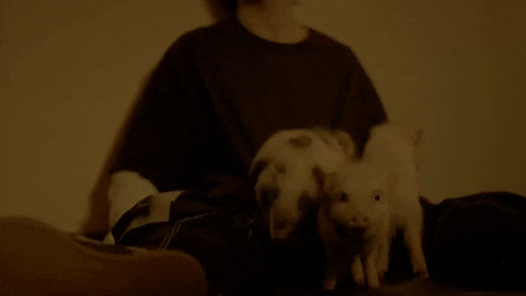 Digital Silence GIF by Peter McPoland