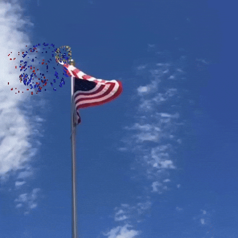 Digital compilation gif. American flag at the top of a flag pole waves in the breeze as digitized patriotic fireworks explode all around it. Text, "Honoring those who served. Thank you for your service! Veterans Day."