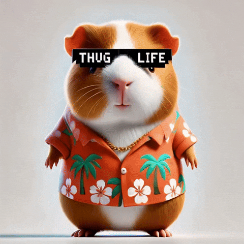Stars Inspiration GIF by Guinea Gambino