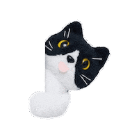 comfortseoul cat comfort comfortseoul piyong Sticker