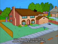 homer simpson GIF
