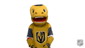 Vegas Golden Knights Sport GIF by NHL