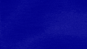 Xmarksthespot GIF by Jeopardy!