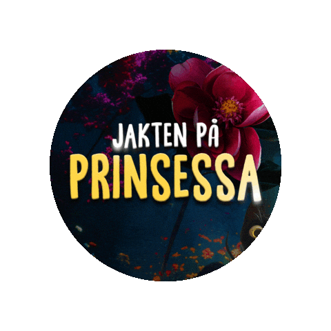 Dns Prinsessa Sticker by Den Nationale Scene