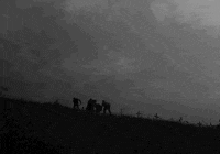 Film Hungarian GIF