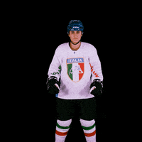 federazioneghiaccio hockey ice wintersport sportinvernali GIF