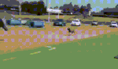 dog attack GIF