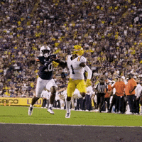 Lsu Football GIF by LSU Tigers
