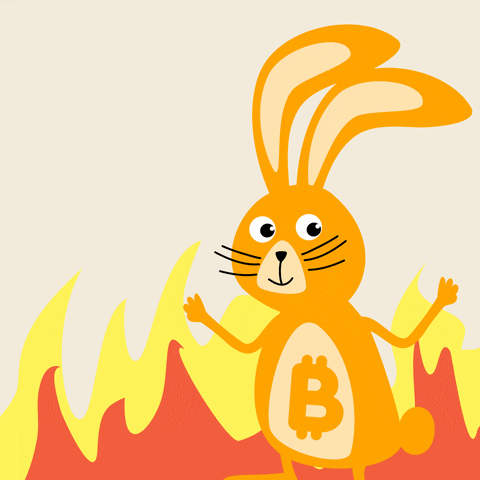 Bitcoin This Is Fine GIF