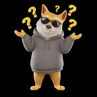 Shiba Inu What GIF by Doge Pound