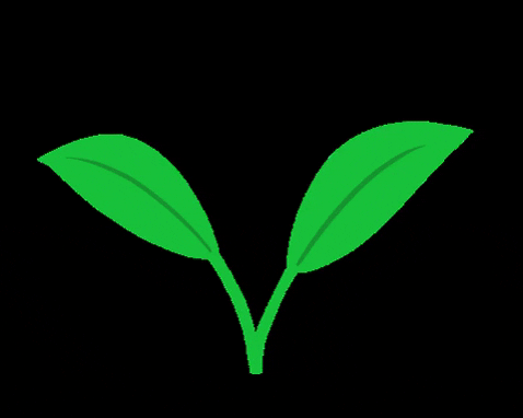 akiirarivero giphygifmaker green plant glass GIF