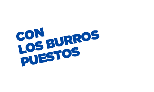 Pnh Sticker by Partido Nacional de Honduras